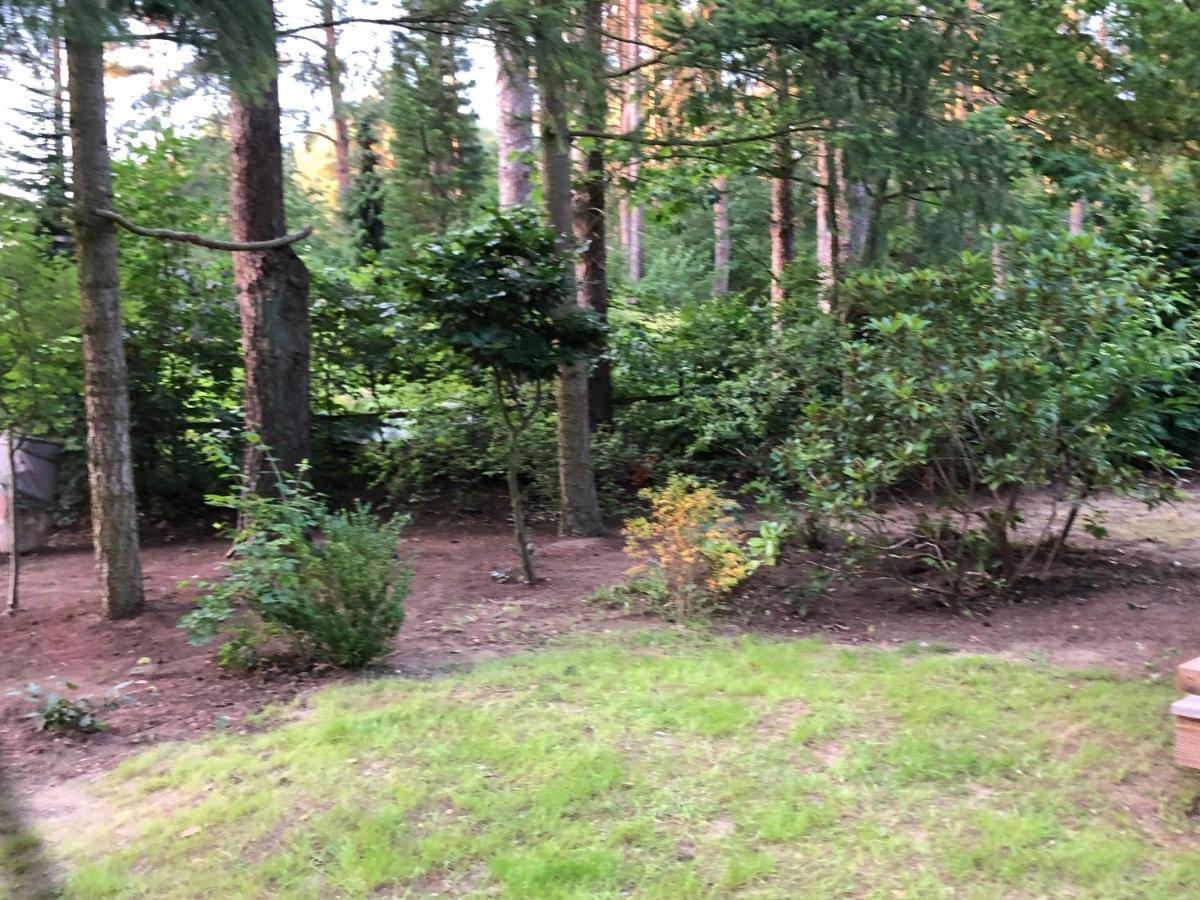 Ferienhaus Reetdach 1300Qm Privatgrundstueck Bootssteg Sauna Templin Luebbesee Uckermark Erholung Pur Seenplatte Petersdorf  Exterior foto