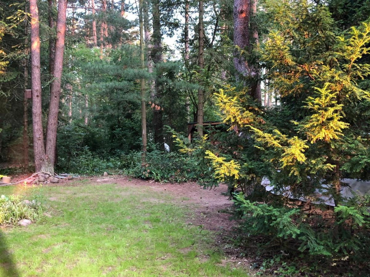 Ferienhaus Reetdach 1300Qm Privatgrundstueck Bootssteg Sauna Templin Luebbesee Uckermark Erholung Pur Seenplatte Petersdorf  Exterior foto